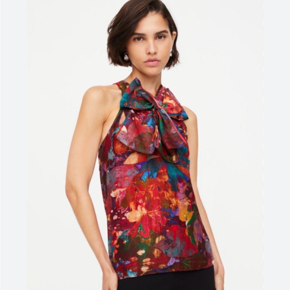 Marie Oliver Indira Top